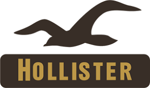 Hollister Co.